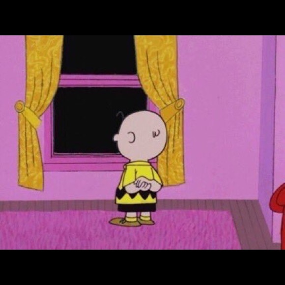 Meet your Posher, Ace - Picture 1 of 1